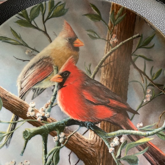 Pair Cardinal loving plates. Royal Elfreda British Birds, Knowles The Cardinals - Picture 2 of 8